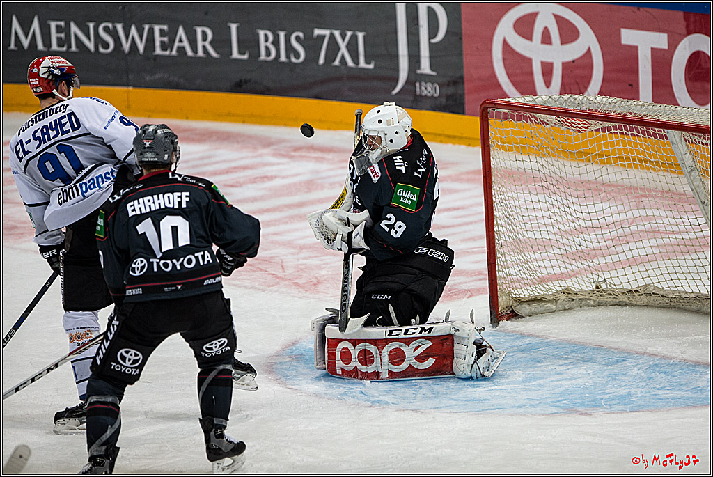 Koelner Haie - Schwenninger Wild Wings, 11.12.2016